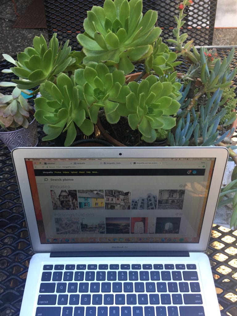 Laptop with a potted plant