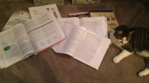 The cat is helping me consider the options.