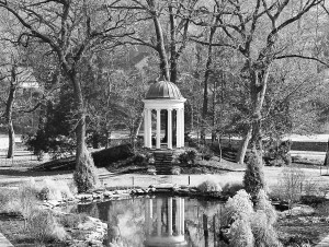 WinterGarden1