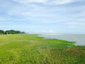 Beaufort Marsh