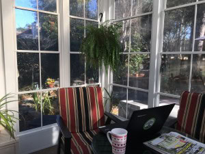 This was where I drank my coffee this morning. 
