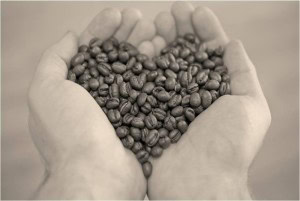 HandsHoldingHeart-shapedBeans
