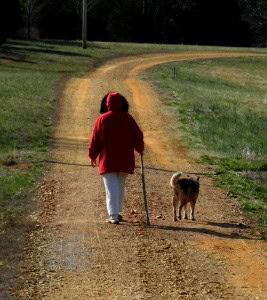 WalkingDog