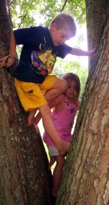 TreeClimbers