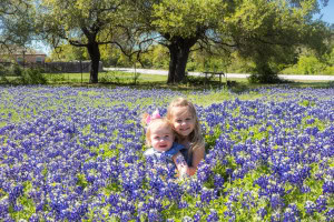 bluebonnetgirls