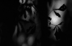 shadow
