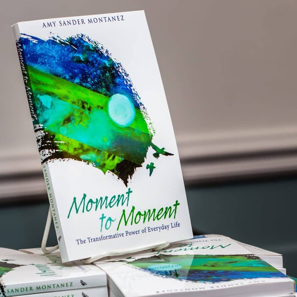 Moment to Moment book
